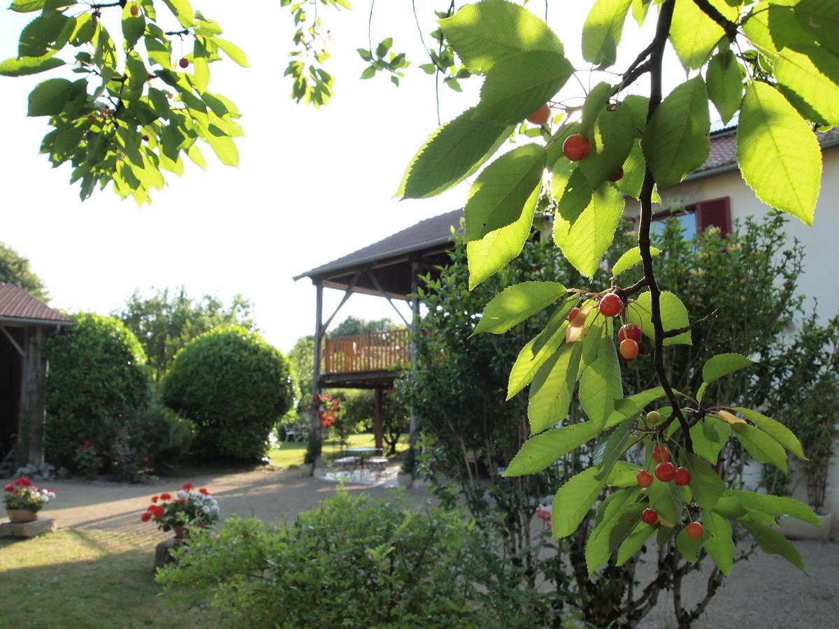 Les Jardins De Lily Hotel Saint Leonard de Noblat Bagian luar foto